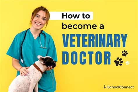6 things you should know about becoming a veterinary doctor.